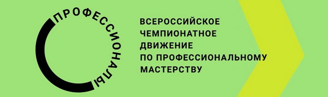 Логотип всероссийского движения Профессионалы